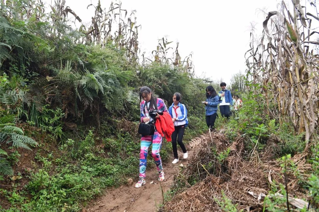一群外来人带着「梦想」的旅行箱，打破了山娃娃们的平静生活……