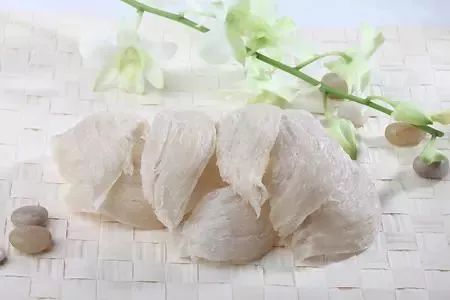 燕窝科普,科普燕窝