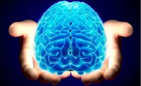 婴儿米粉重金属欧盟上限,儿童米粉被查出重金属的牌子