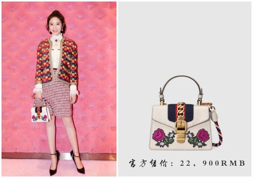 戚薇常背的包,戚薇背一万九的包包