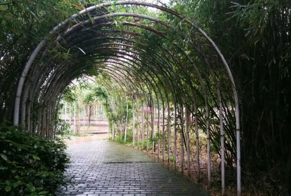 南昌纯玩一日游必去景点攻略大全,南昌纯玩一日游必去景点攻略图