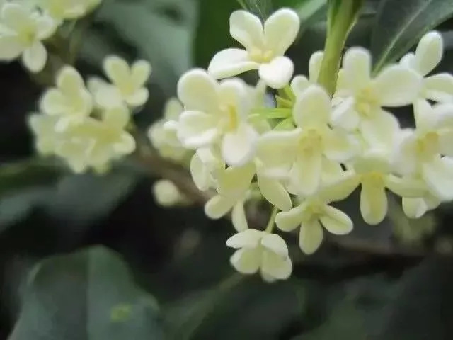 南昌纯玩一日游必去景点攻略大全,南昌纯玩一日游必去景点攻略图