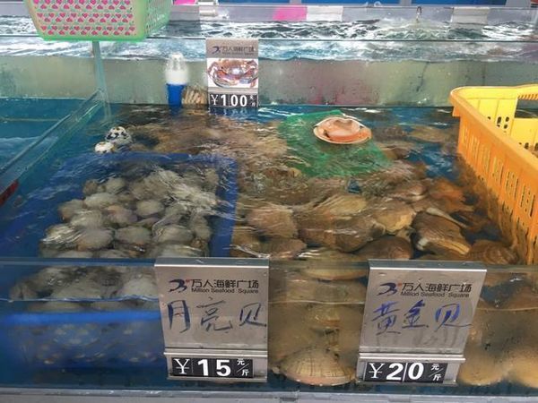 海口特色美食游玩攻略,玩转海口经典美景加美食攻略