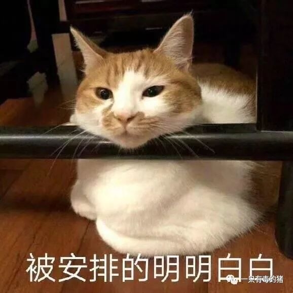 山寨skii,山寨版tfboys闯关