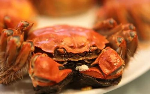 吃海鲜手扎了一下,如果一不小心被海鲜扎了会怎么样