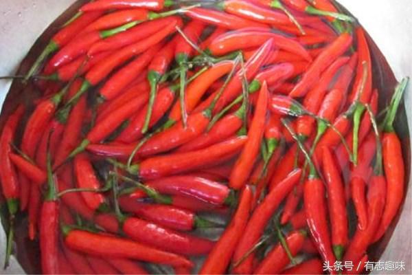 自制腌辣椒长毛了还能吃吗,腌辣椒为什么要用醋