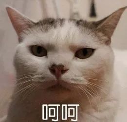 裸睡到底是穿内裤不,睡觉穿内裤好还是裸睡好