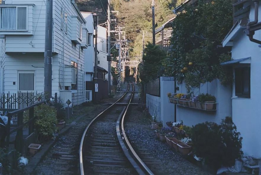 最是天凉好读书，24本精彩好书一并奉上！