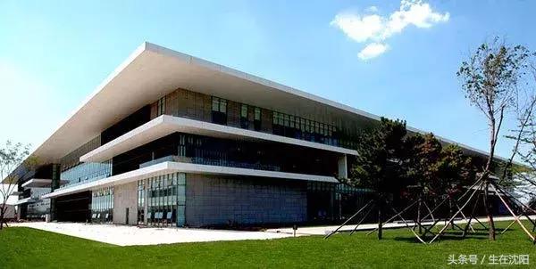 我爱沈阳原唱完整版,我爱沈阳是什么梗