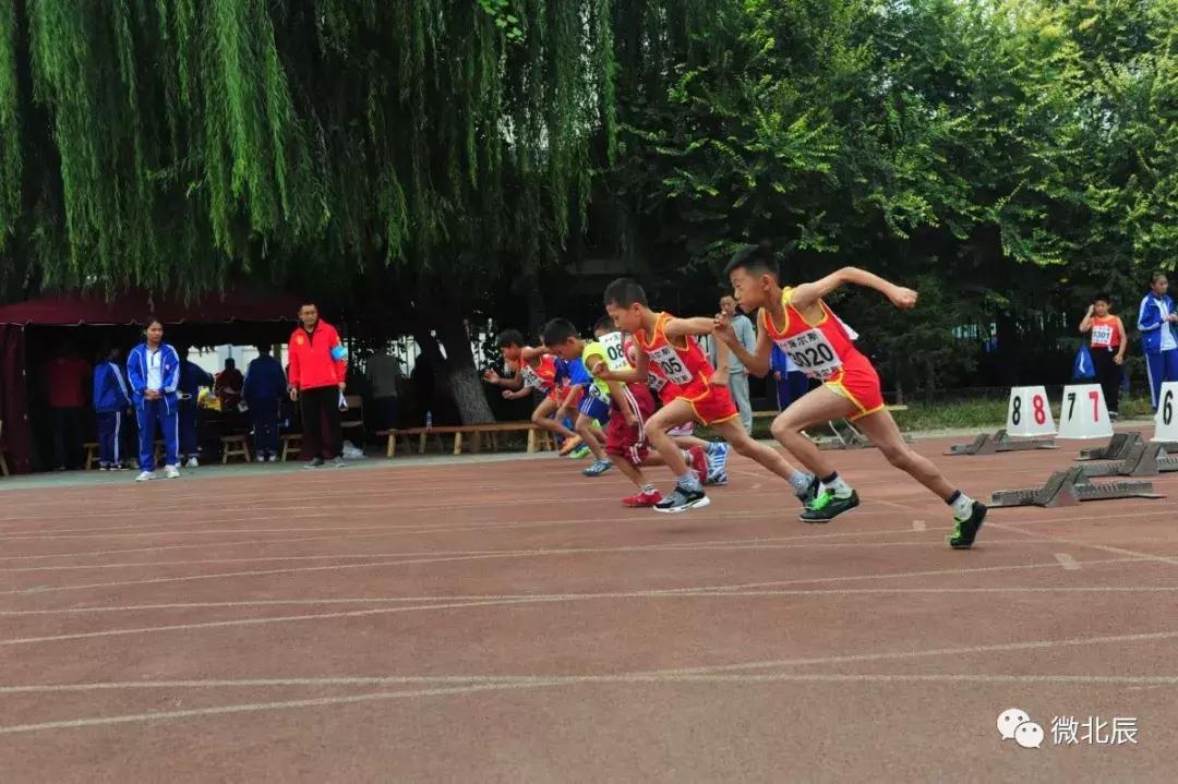 为中国奥运健儿打call,为亚运健儿打call一起加油