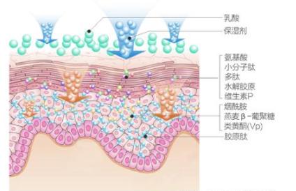 30天不洗脸皮肤真的会变好,不洗脸真的可以让皮肤变得更好吗