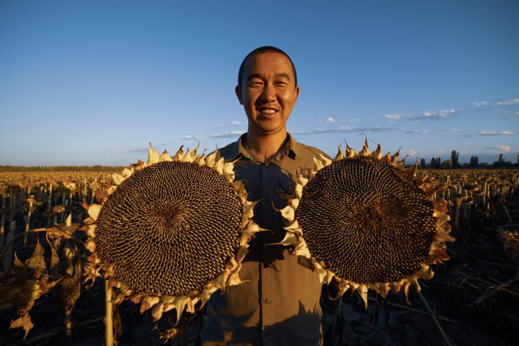中国农民丰收节与三农建设,农民丰收节重农强农