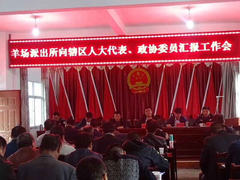 羊场派出所工作怎么样？人大代表这样说！