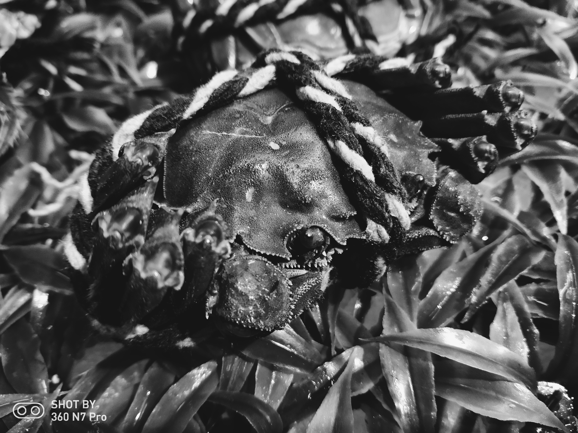 360n7pro跟哪款手机对比功能,360n7pro值得入手吗