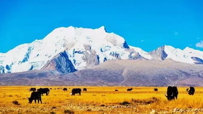 阿里小北线自驾,阿里小北线都是什么路