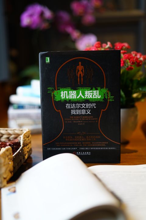 有关人类社会发展史的书籍,人类社会进化书