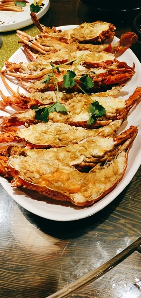 非凡一升突破未来vivonex测评,vivonex旗舰版详细评测