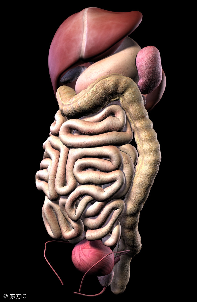 虚不受补强行补会怎么样,虚不受补者仍然要补