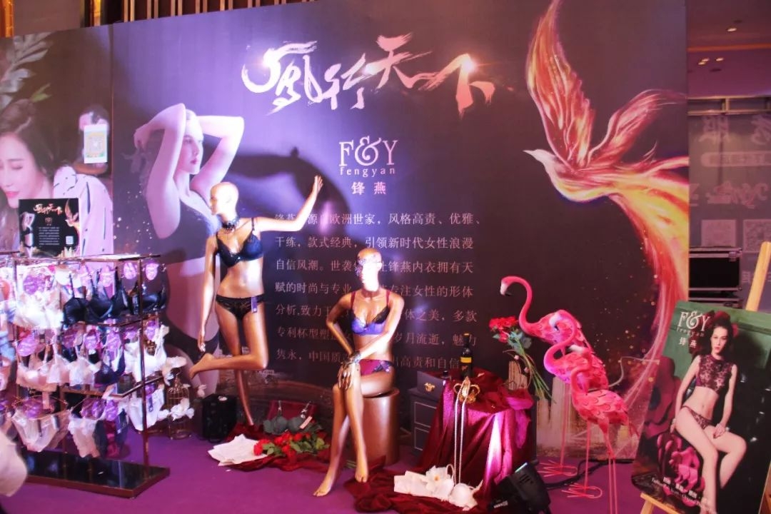 锦绣山湖，华彩安徽｜内衣视界·财智峰会（安徽站）品牌展示