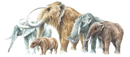 远古巨兽现在去哪了,最强远古巨兽