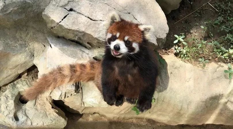 九江周围九月份游玩,九江市旅游的地方必去十大景点