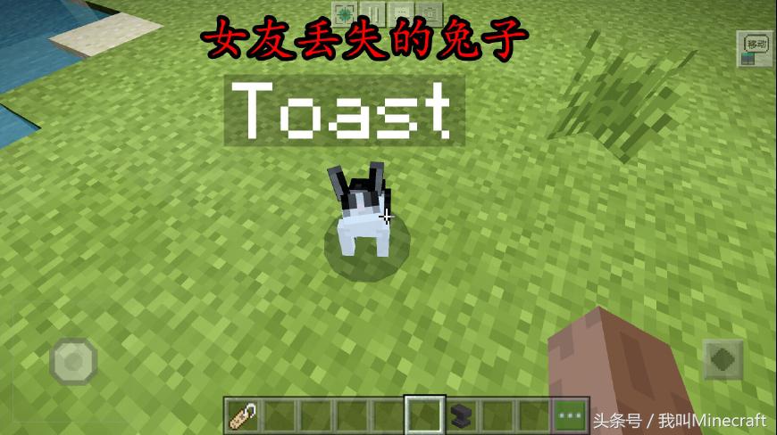 我的世界mc中真的有怪物吗,我的世界兔子都有什么秘密