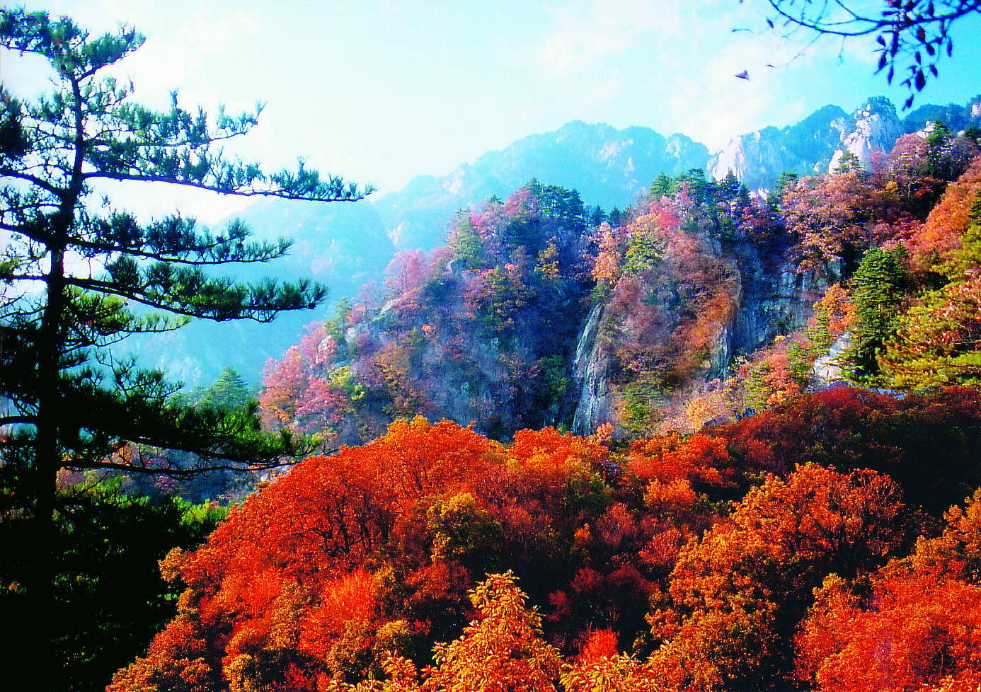 白云山欢迎您,广州白云山欢迎你