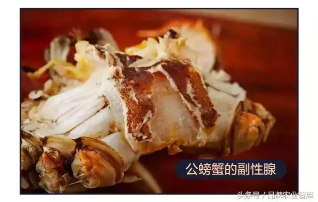 大闸蟹基础知识,大闸蟹科普知识