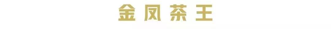 今天刷爆成都人朋友圈的网红奶茶店，卖起了五粮液水果茶和川菜！