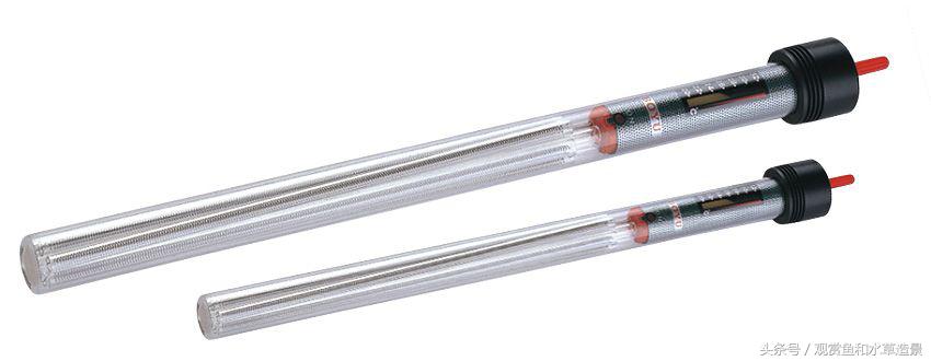 无二氧化碳无水草泥草缸造景,新手水草缸造景教程莫斯