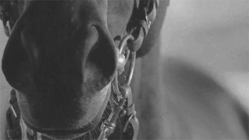 抠出来的鼻屎不要丢，隔壁家的小孩都馋哭了