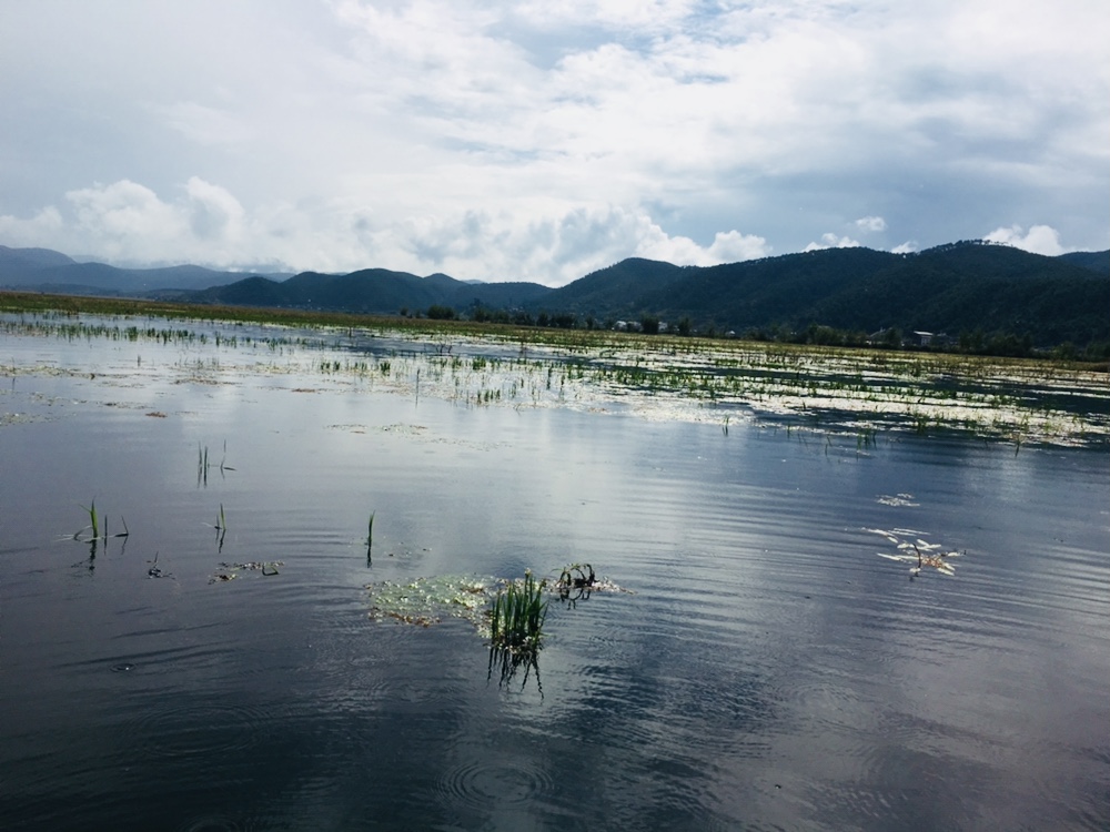 丽江旅游拉市海攻略,丽江拉市海怎么样值得旅游吗