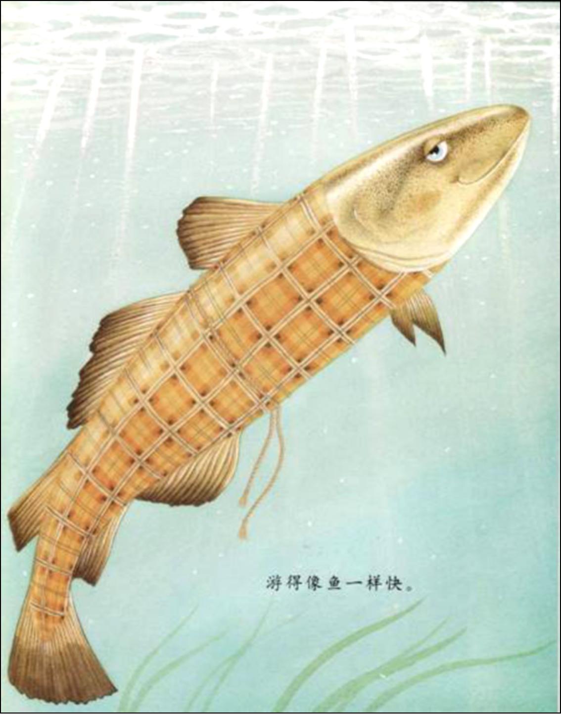 绘本故事我爸爸完整版,有声绘本我的爸爸是医生