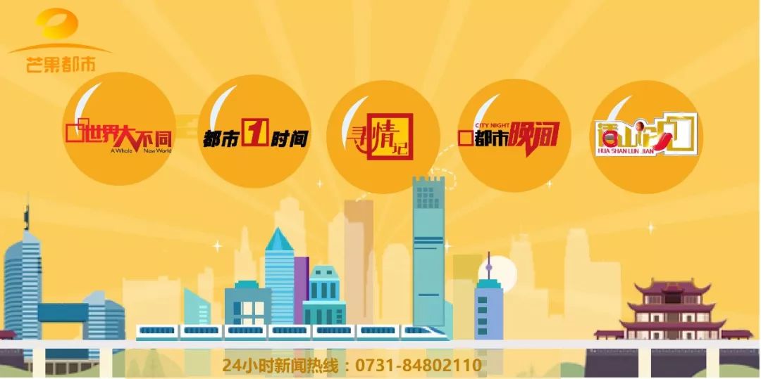 长沙芙蓉分局金融诈骗案,长沙芙蓉诈骗案件