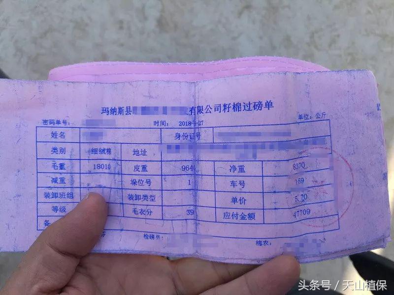 2022年籽棉目前价格,南北疆籽棉收购价格表