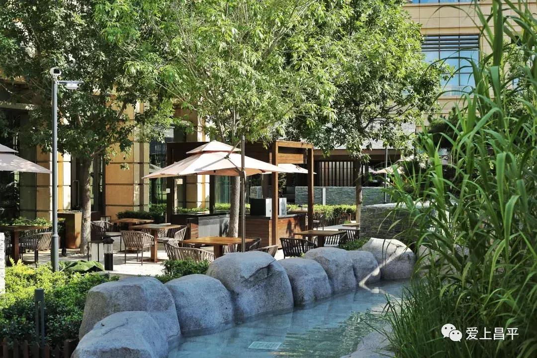 吃蟹的好去处,秋天北京哪里吃蟹最好