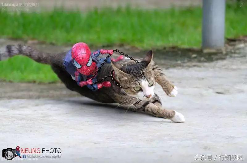 漫威蜘蛛侠遇到的强大敌人,这才是漫威的正确打开方式