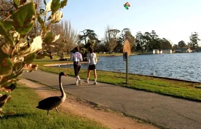 上海南京杭州苏州乌镇旅游攻略,上海迪士尼乐园旅游攻略大全