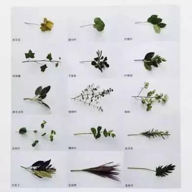 插花教程新手入门培训,插花花艺教程新手入门零基础