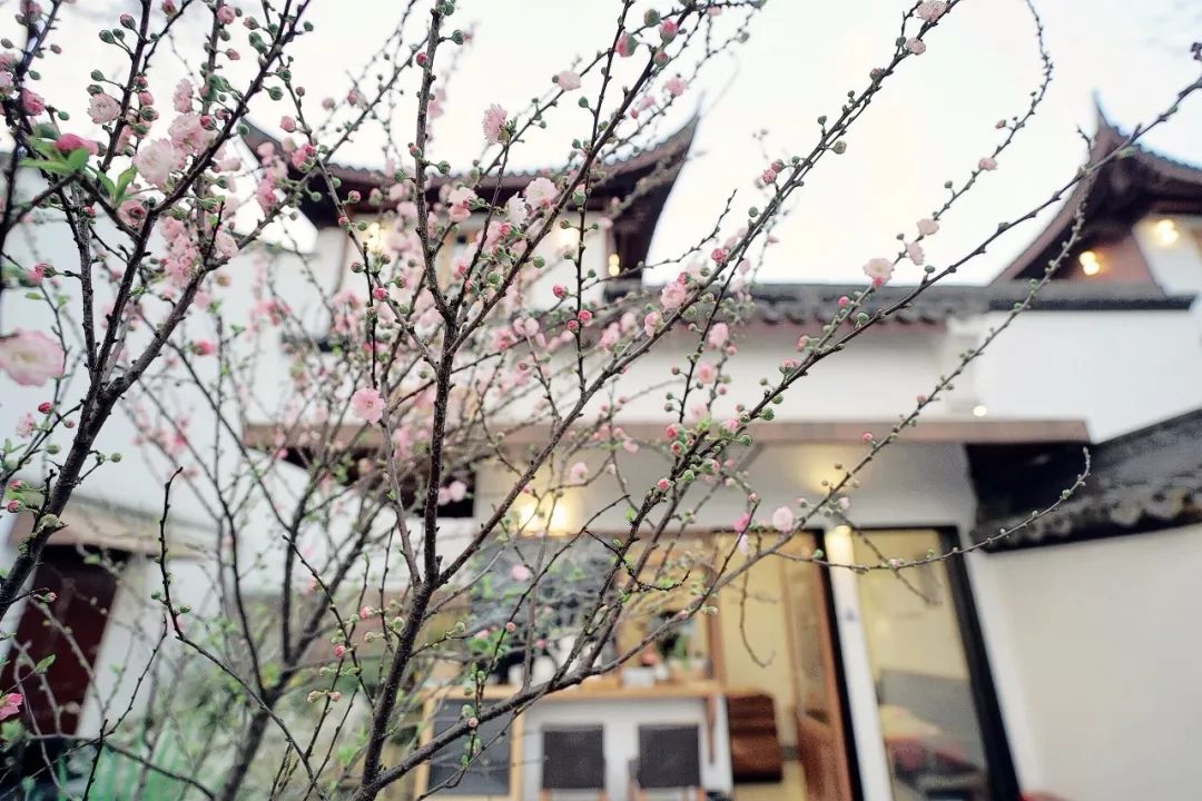 杭州浙大玉泉校区能做饭的民宿,杭州绝美的10间民宿