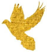 亚残运会中国代表队入场,亚残运会中国代表团入场完整版