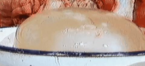 吃活物有寄生虫,吃活的虫子身体里有寄生虫