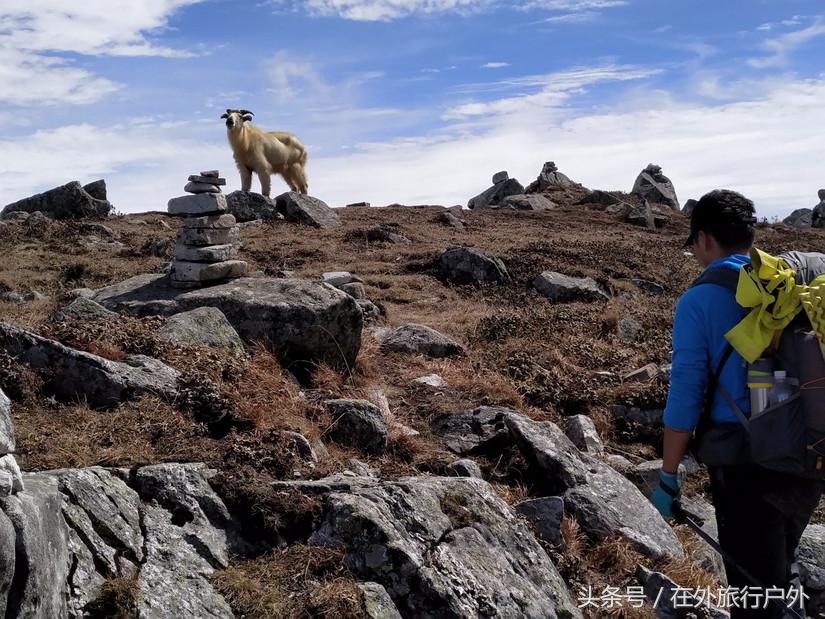 鳌太徒步：闲谈国庆活动中的部分装备