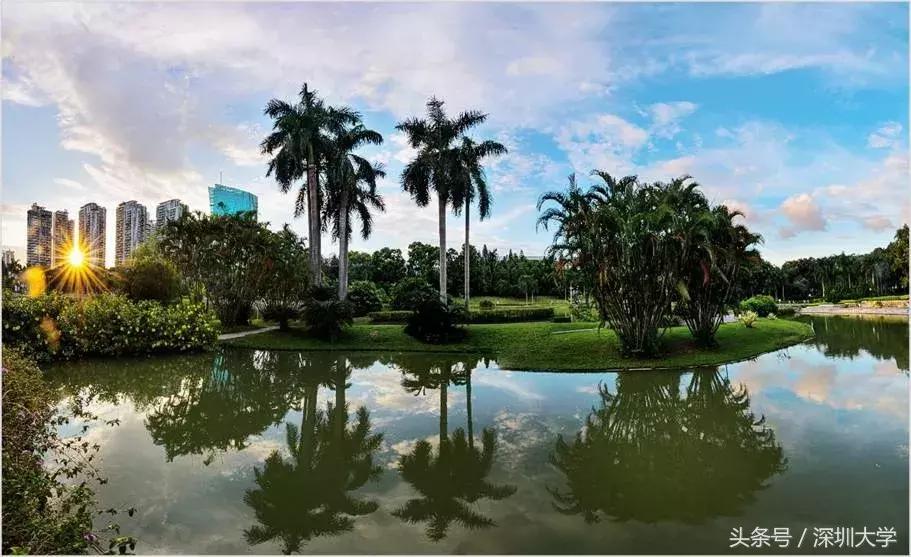 深圳有名的大学校歌,深圳名牌大学校歌