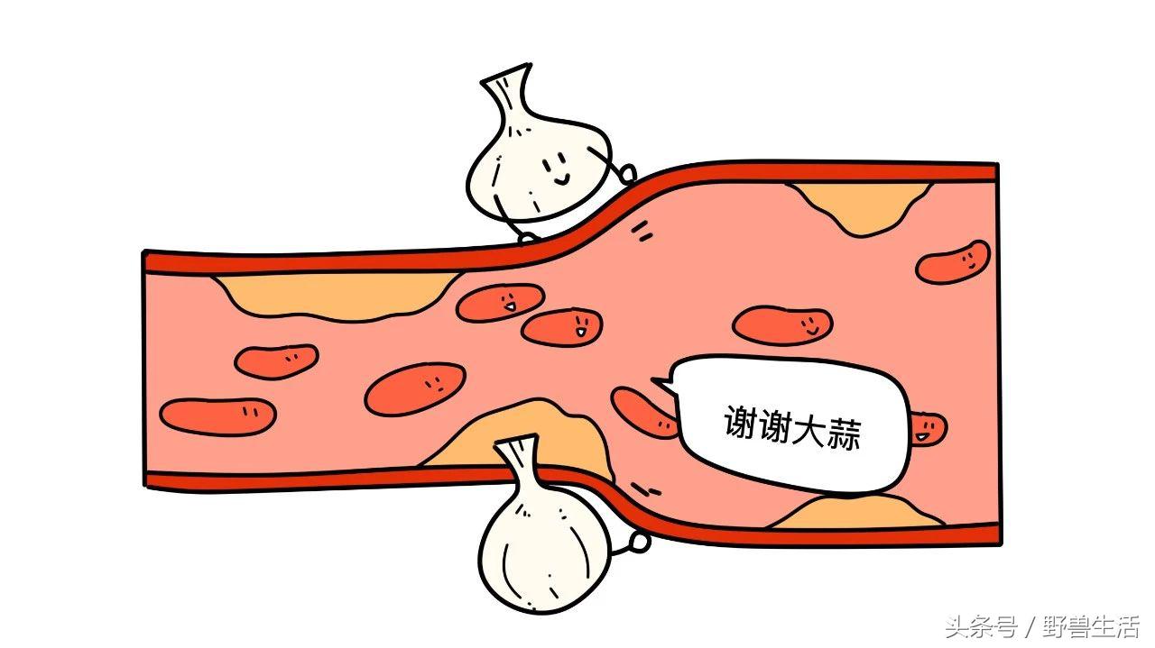 大蒜片一天吃多少最好,大蒜的保健吃法和注意点