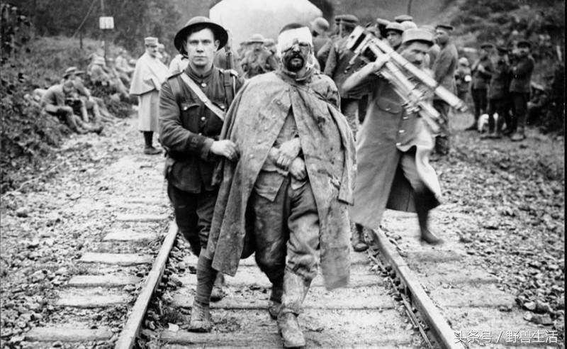 大蒜片一天吃多少最好,大蒜的保健吃法和注意点