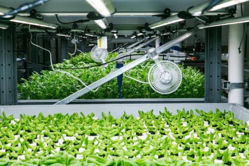 2019中国电商扶贫,电商扶贫新模式