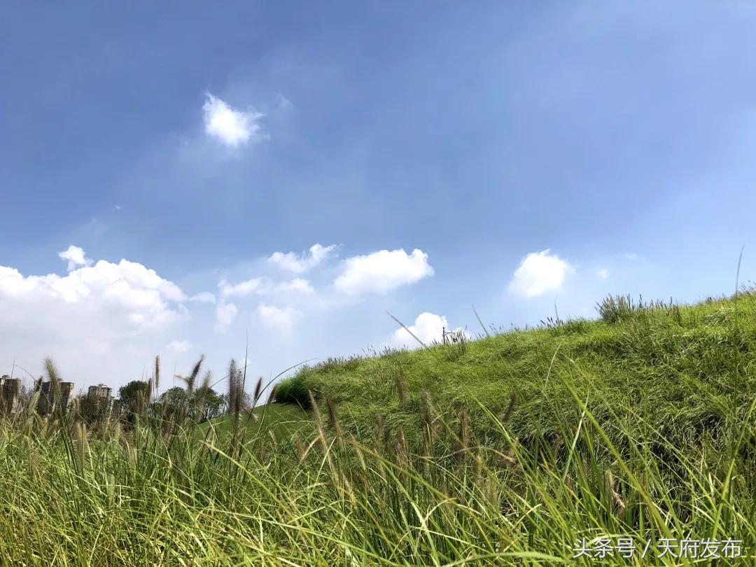 天府新区国庆哪里玩,国庆假期游玩攻略成都天府新区