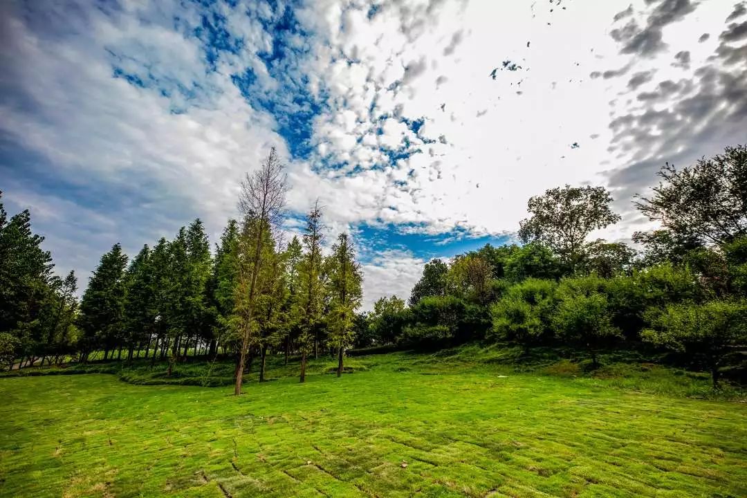 国庆七天长假去哪里,国庆七天游江西攻略