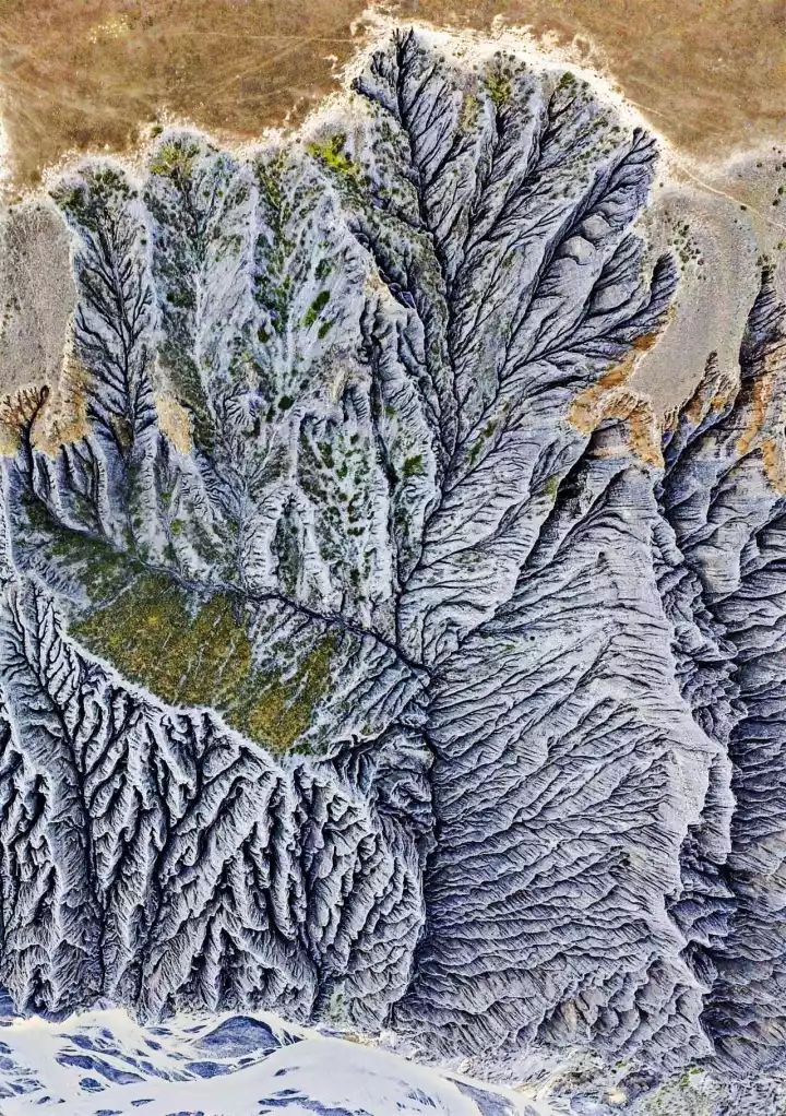 什么是中国传统文化,什么是中国文化